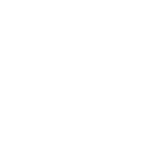 Ico Audience